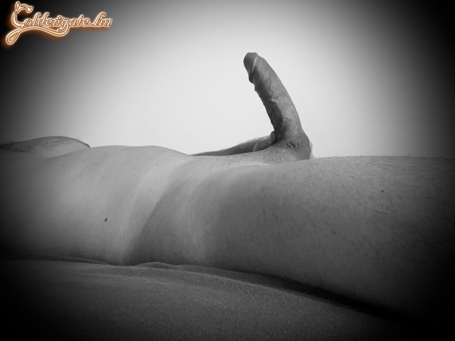 Első sorozatom - 7. kép