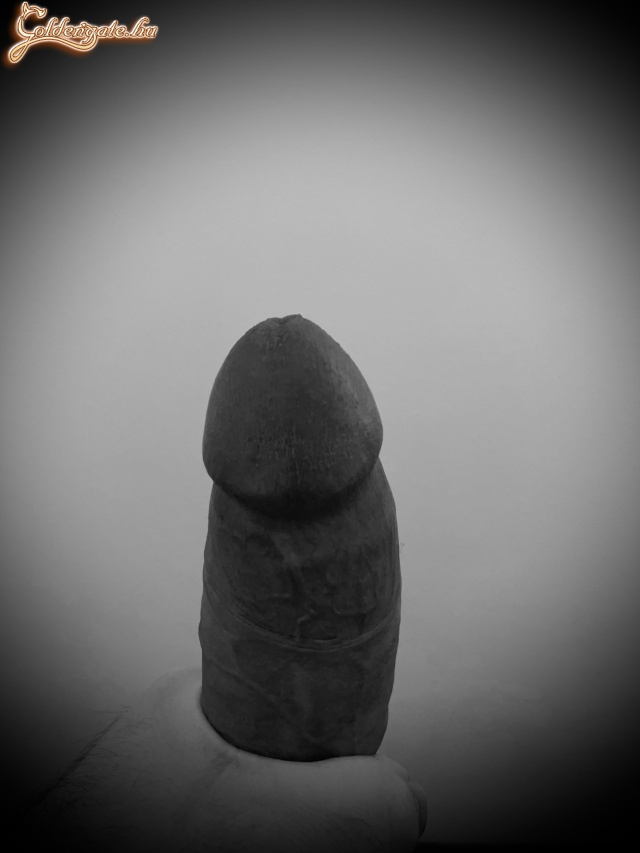 Első sorozatom - 9. kép