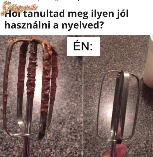 Nyelv használat