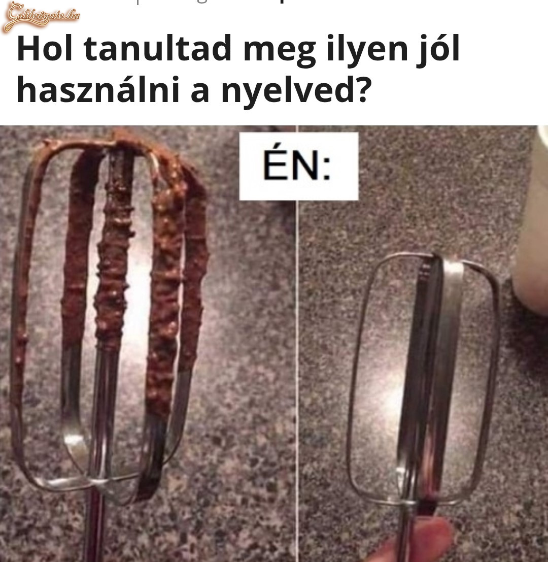 Nyelv használat