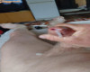Meztelen nudista fotók biszex 