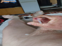 Meztelen nudista fotók biszex 