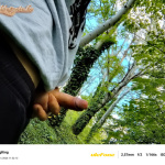 Elég vegyes, de Én .. - 1. kép