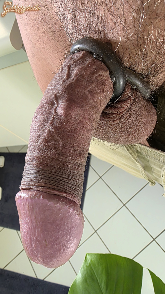 2026.06 - 9. kép
