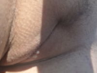 Punci