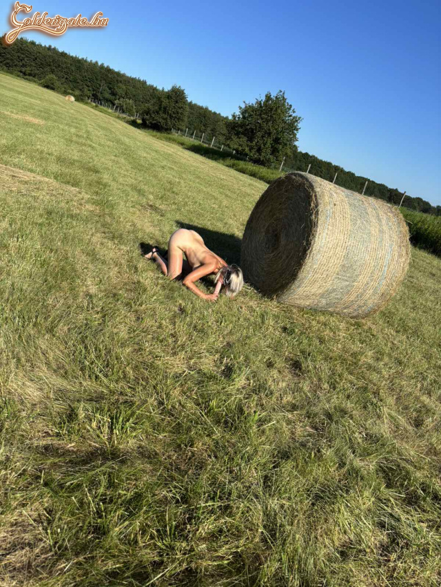 Kalandozás az Őrsegben - 35. kép