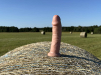 Kalandozás az Őrsegben