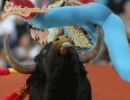 Miért nem jó matadornak lenni