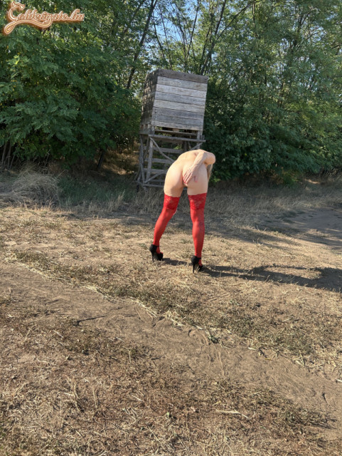 Vadászlesnél pirosban! - 26. kép