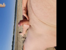 Duna part