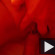 cock in pussy