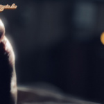 Moods - 7. kép