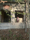 Elhagyatott épület - 5. kép
