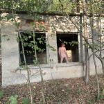 Elhagyatott épület - 16. kép