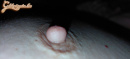 bimbóóóó - 8. kép