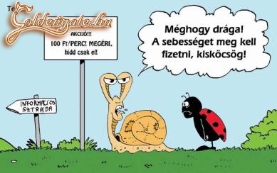 csiga