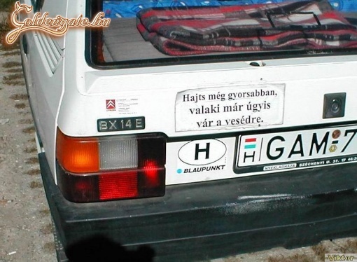 Felhívás