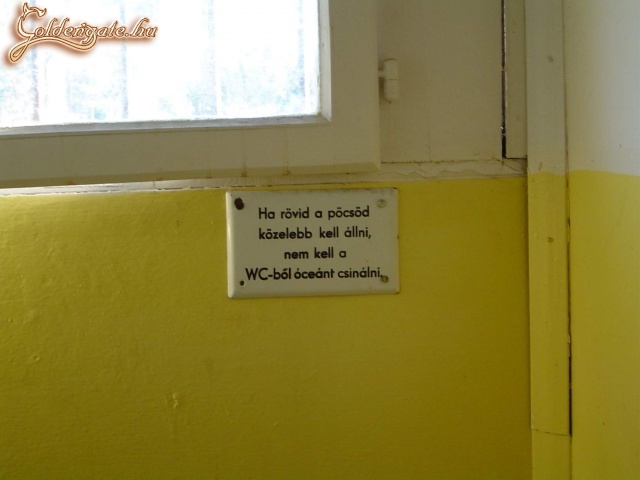 lényegretörő...