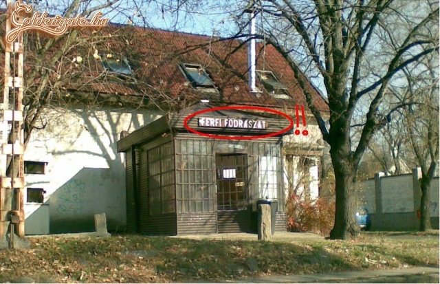 FFI fodrászat