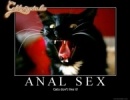 Anal Sex