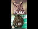Tényleg ?