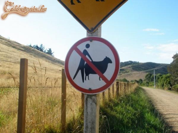 Baribaszóknak tilos