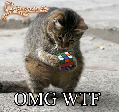 OMG WTF ?? 8O