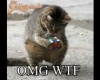 OMG WTF ?? 8O