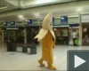 Remi Gaillard