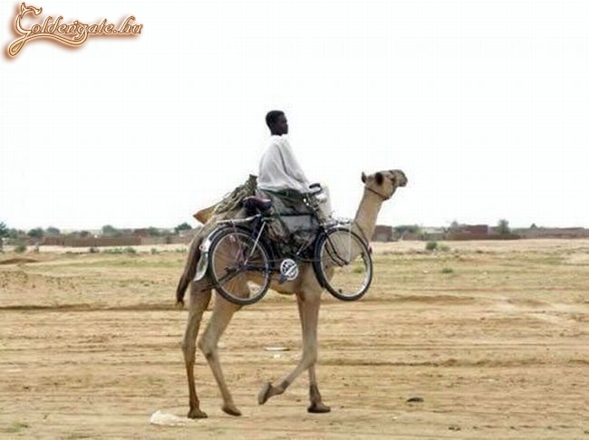 tutira megy a srác...