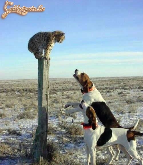 Ha nem húztok el innen, szólok anyukámnak