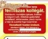 Álláshírdetés