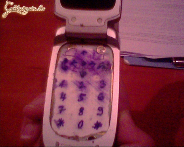IPHONE 2009