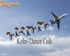 Kohn-Dance csík