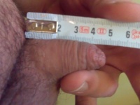 A kis aranyos