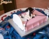 Születésnapi torta