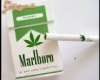 Marlboro LIGHT