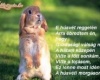 Húsvéti nyuszi