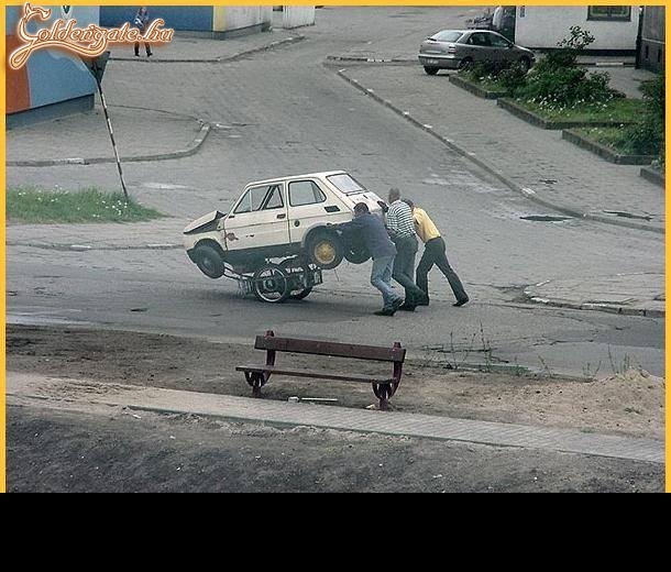 kispolák