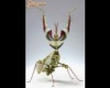 Idolomantis Diabolica