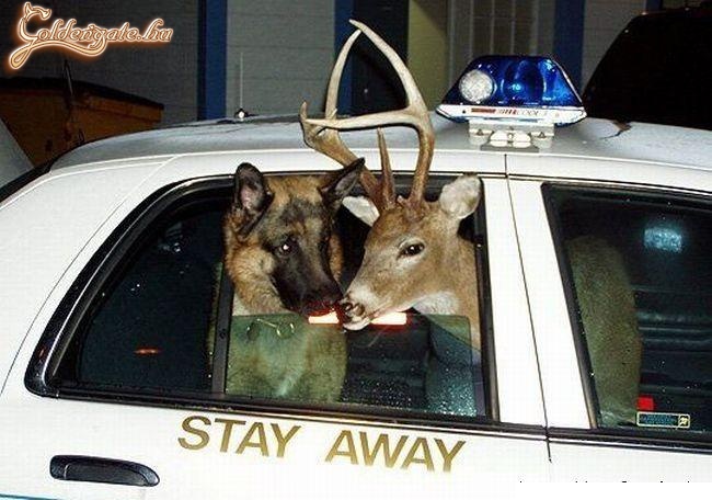 Többé nem rosszalkodunk