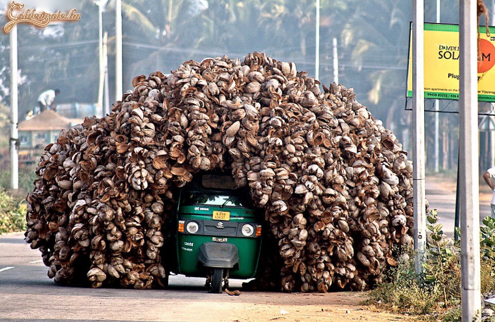 Mi lehet a rakomány ?