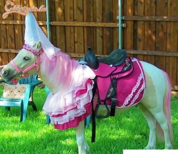 Barbie Pony