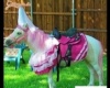 Barbie Pony