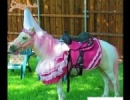 Barbie Pony