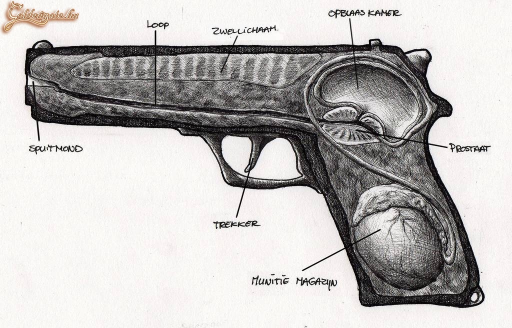A tökéletes fegyver