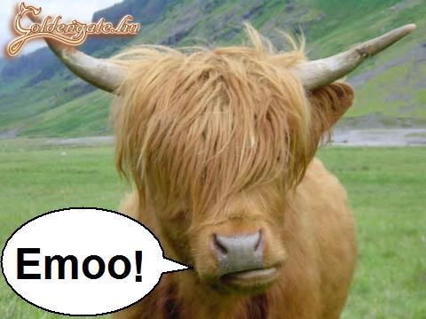 Emoo!
