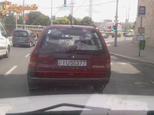 képzavar