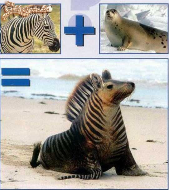 Genetikai módosítás