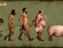 Evolúció?